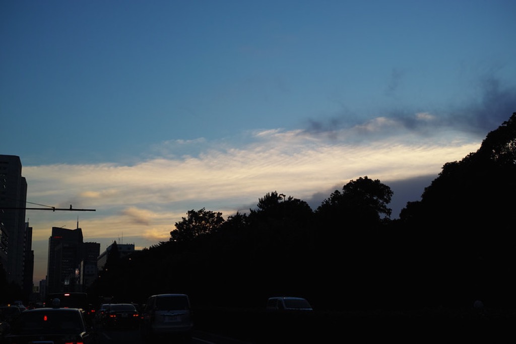 DP2Q0155
