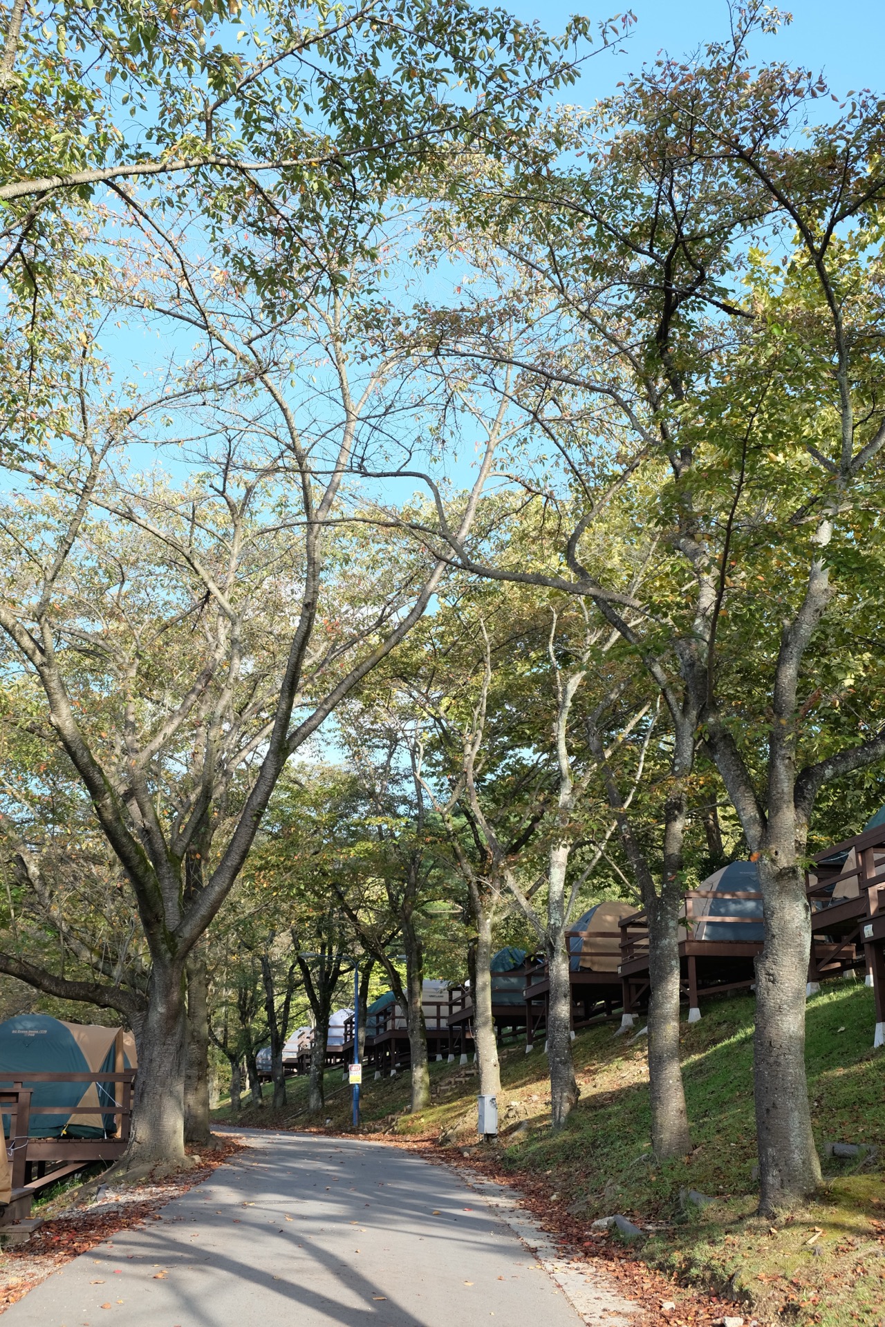 FXE28703