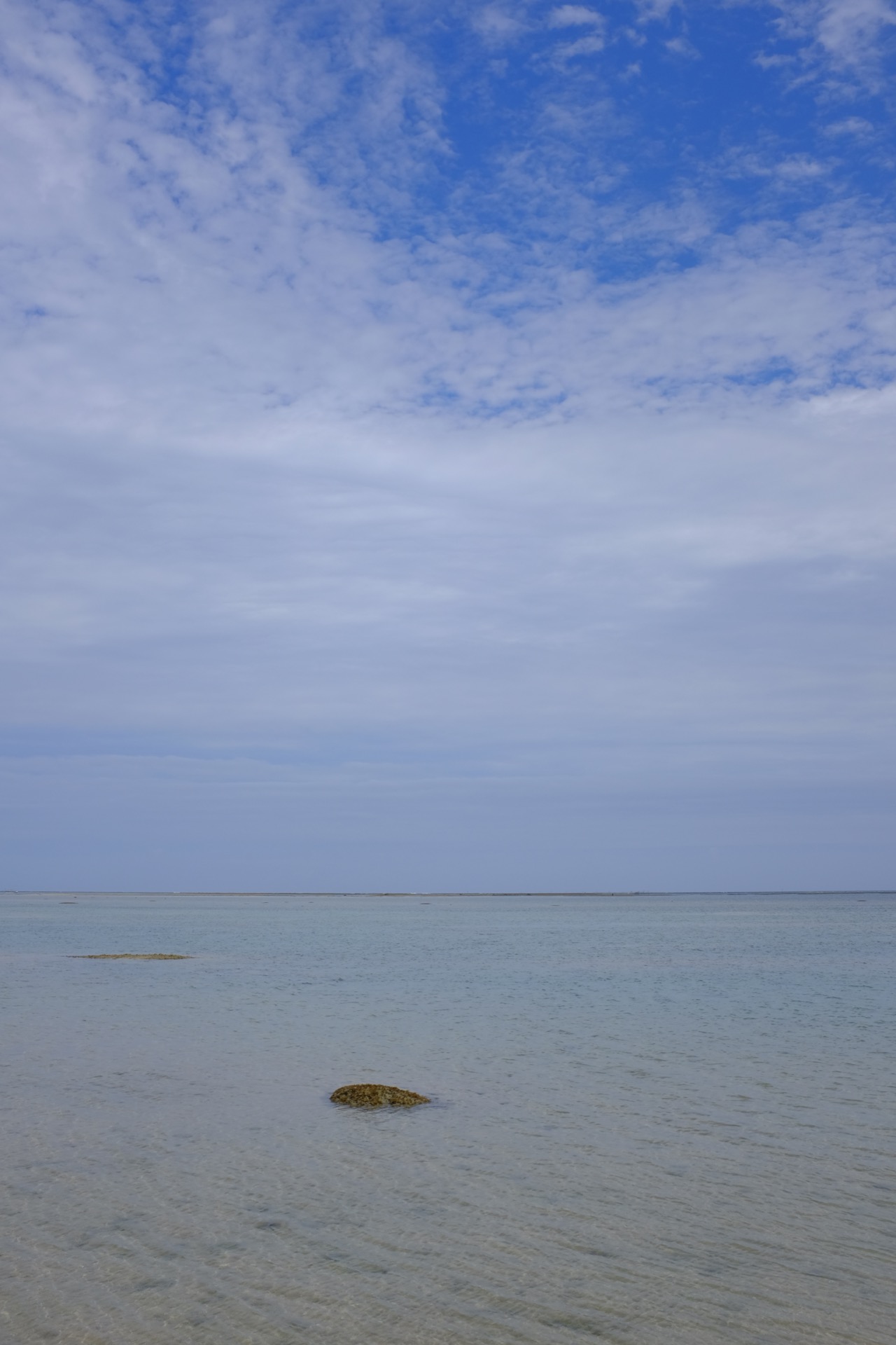 DSCF2677