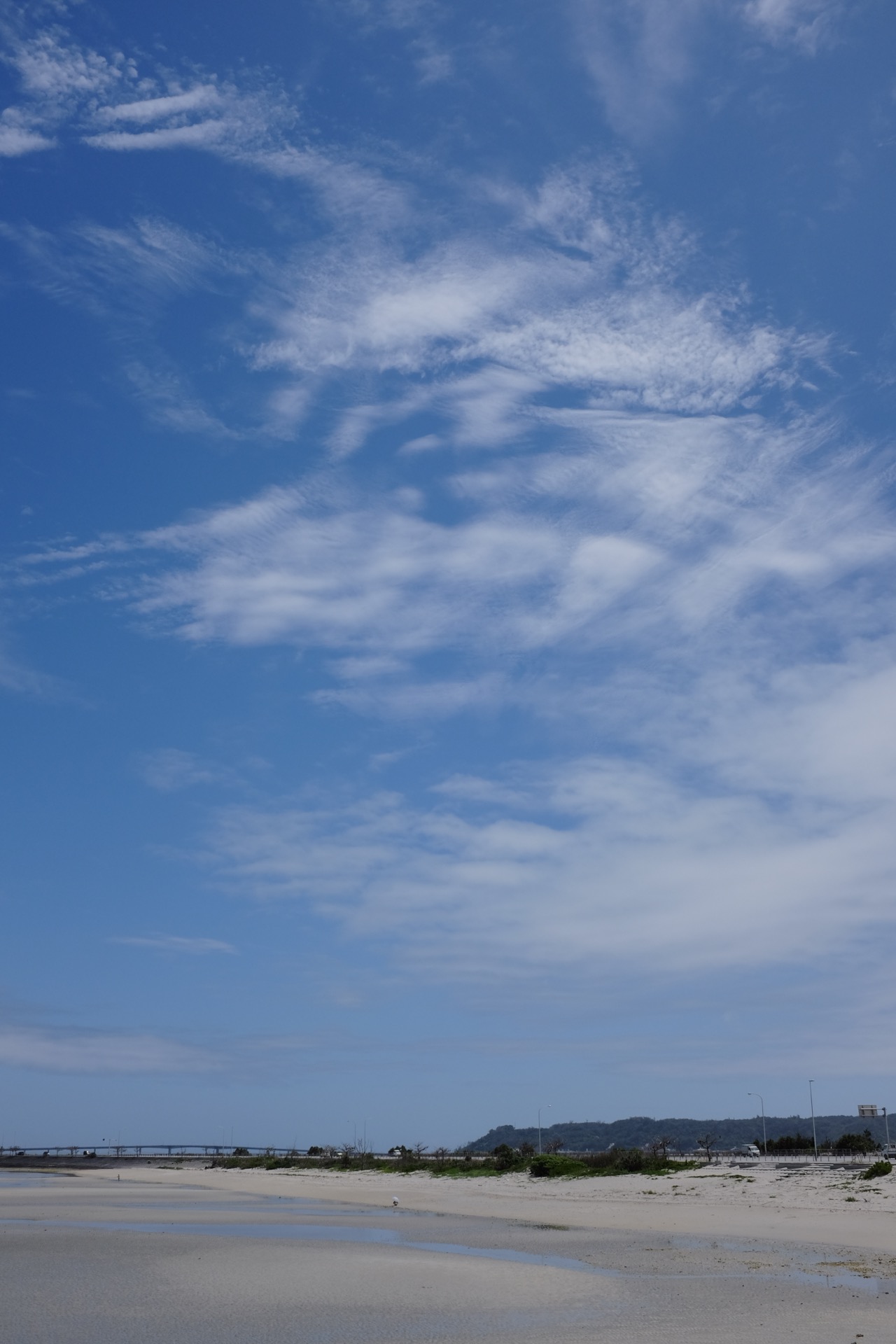 DSCF2567
