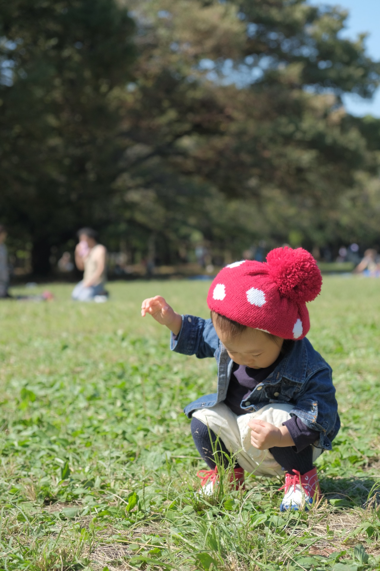 0XT20330-2.jpg