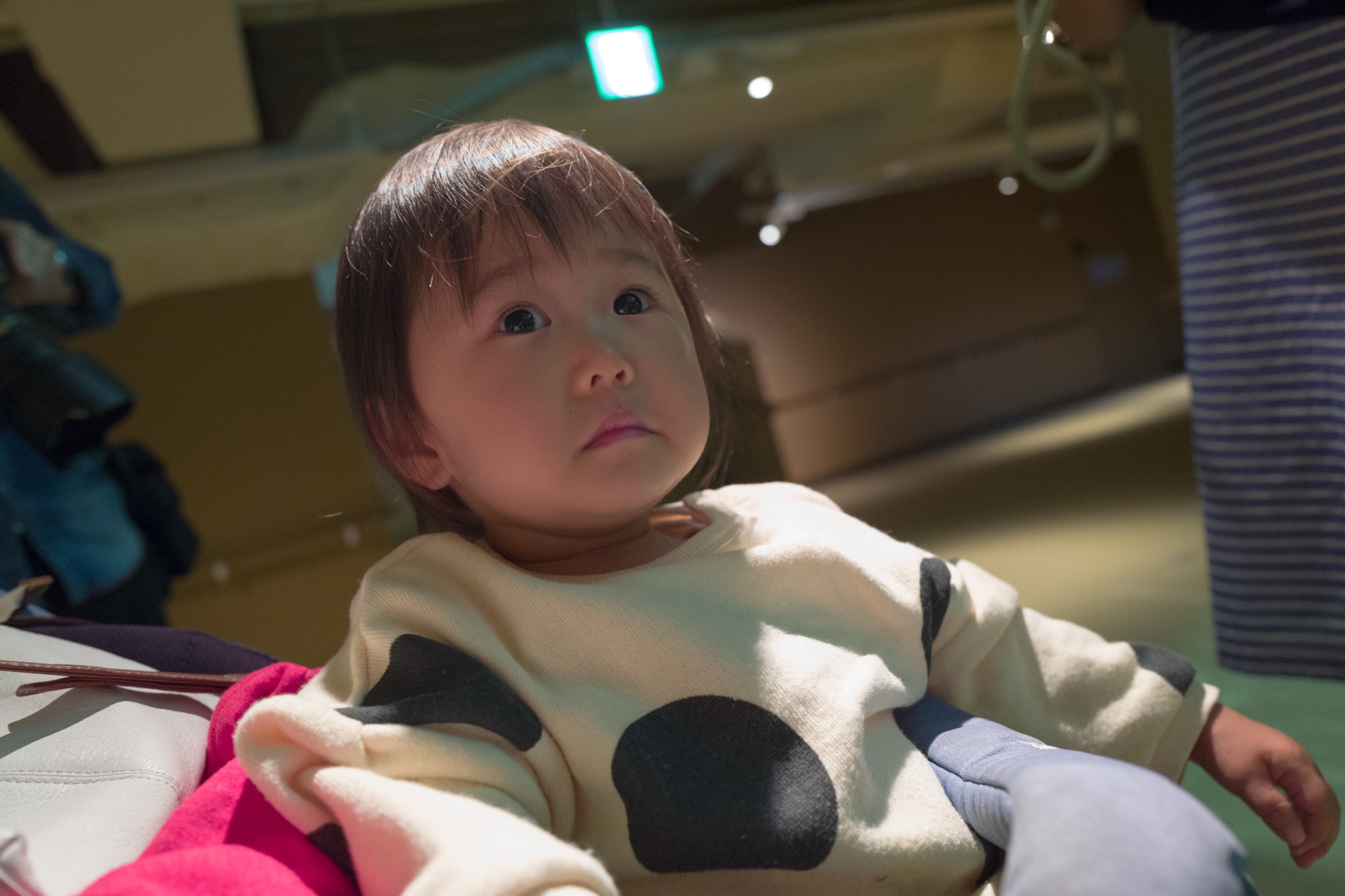L1040087.jpg