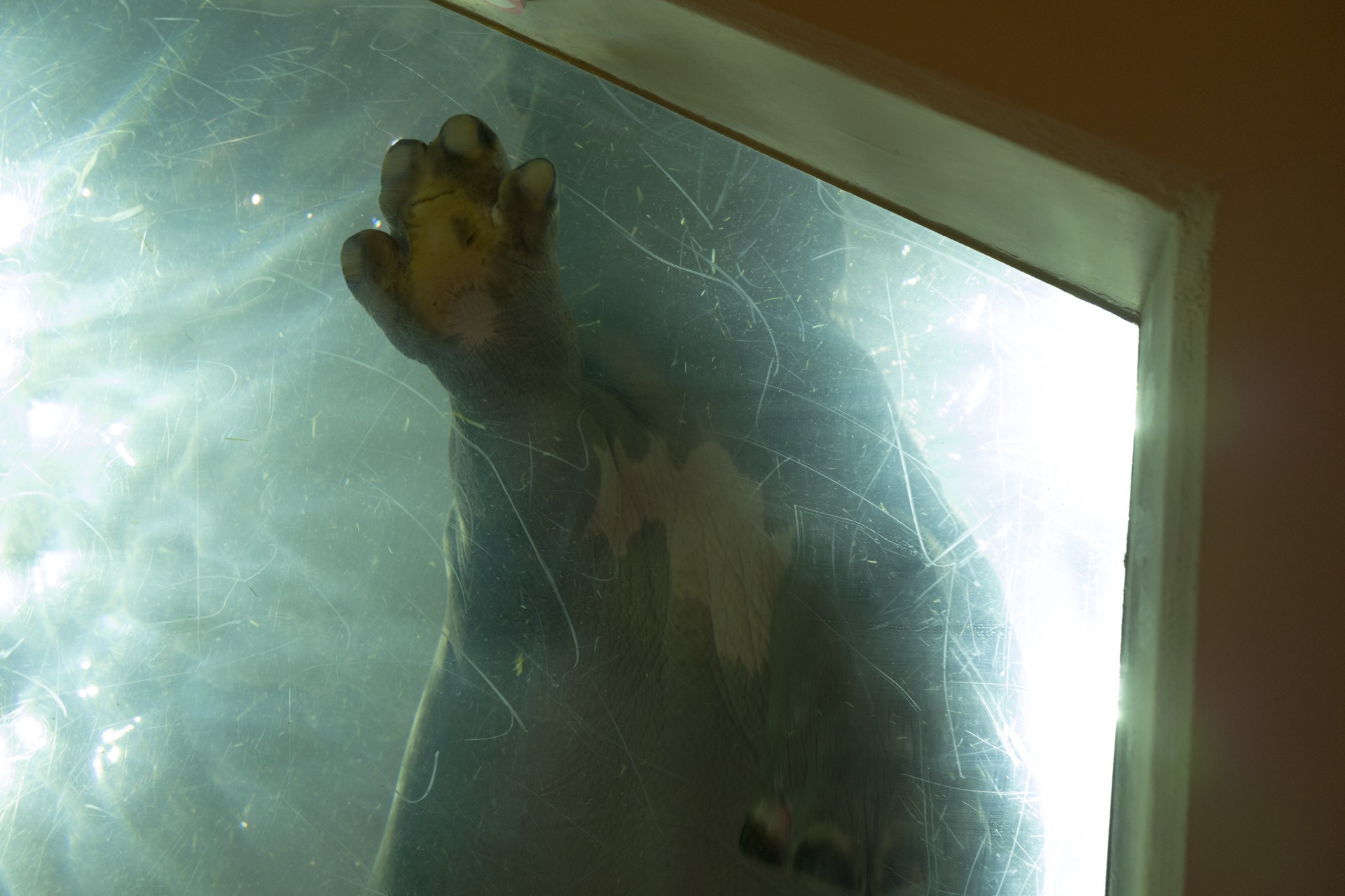 L1040088.jpg