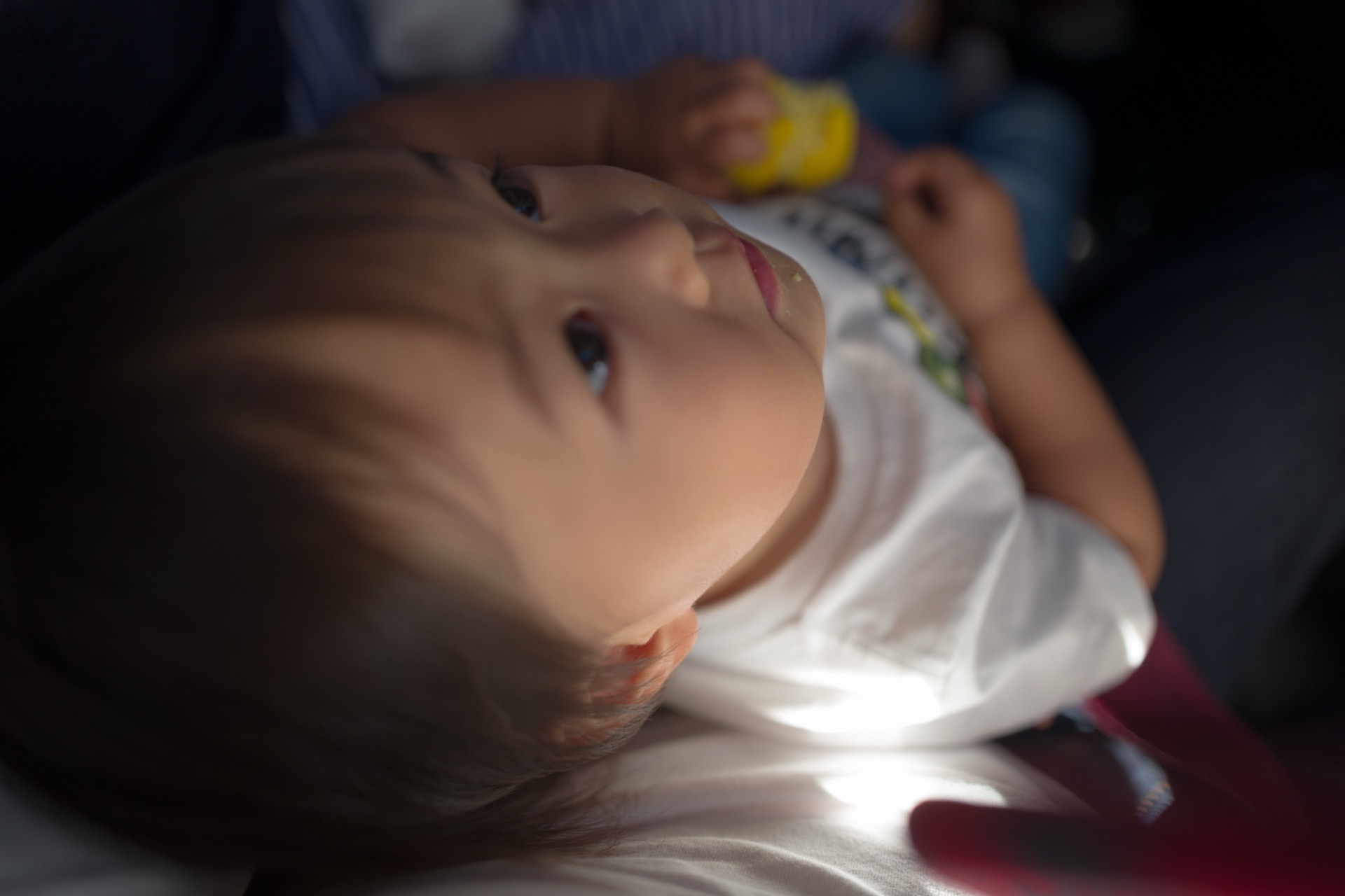 L1030750.jpg