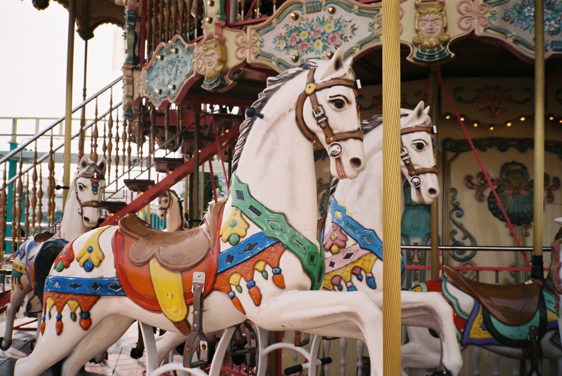 FUJICOLOR_C200_20190224_16.jpg