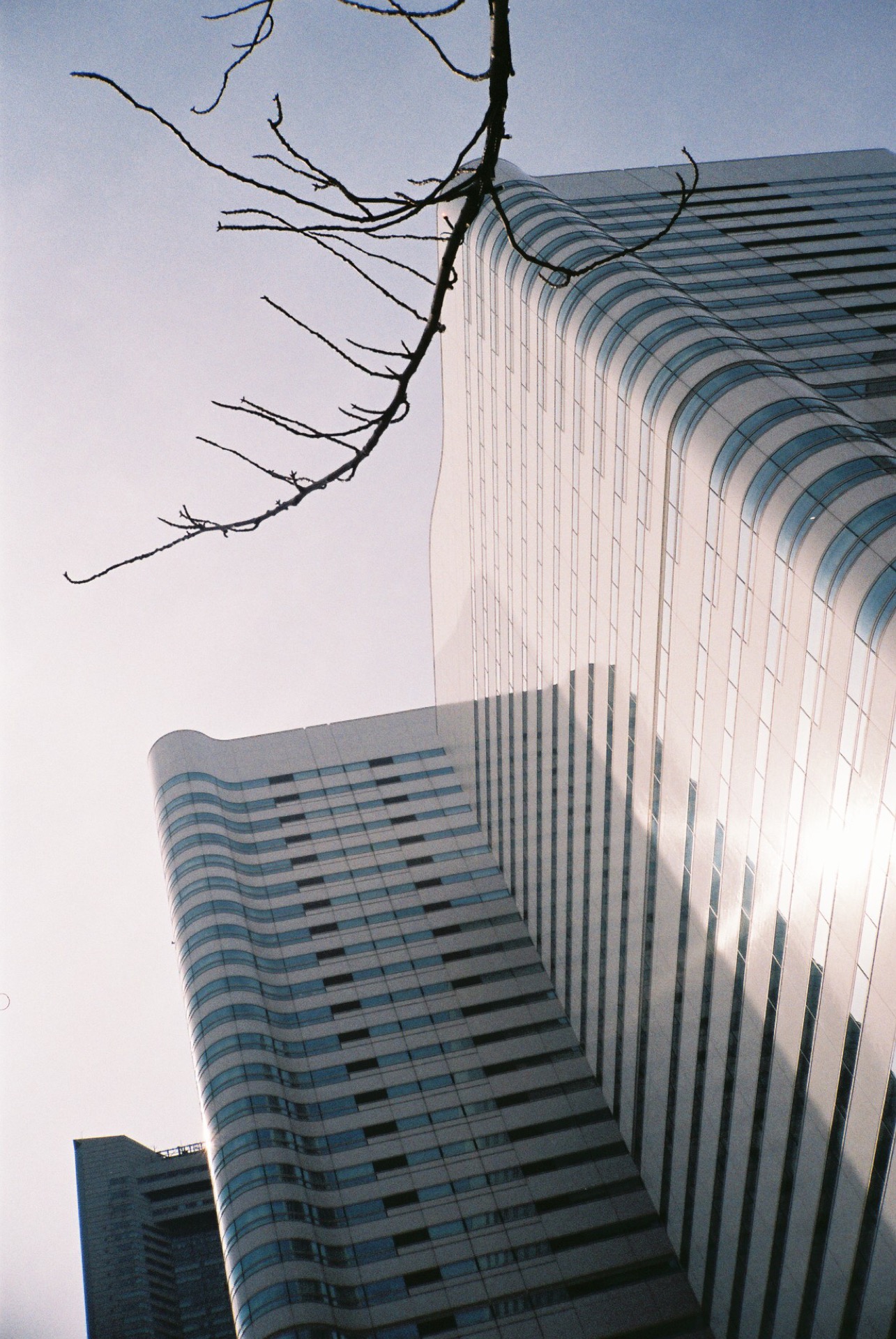 FUJICOLOR_C200_20190224_15.jpg