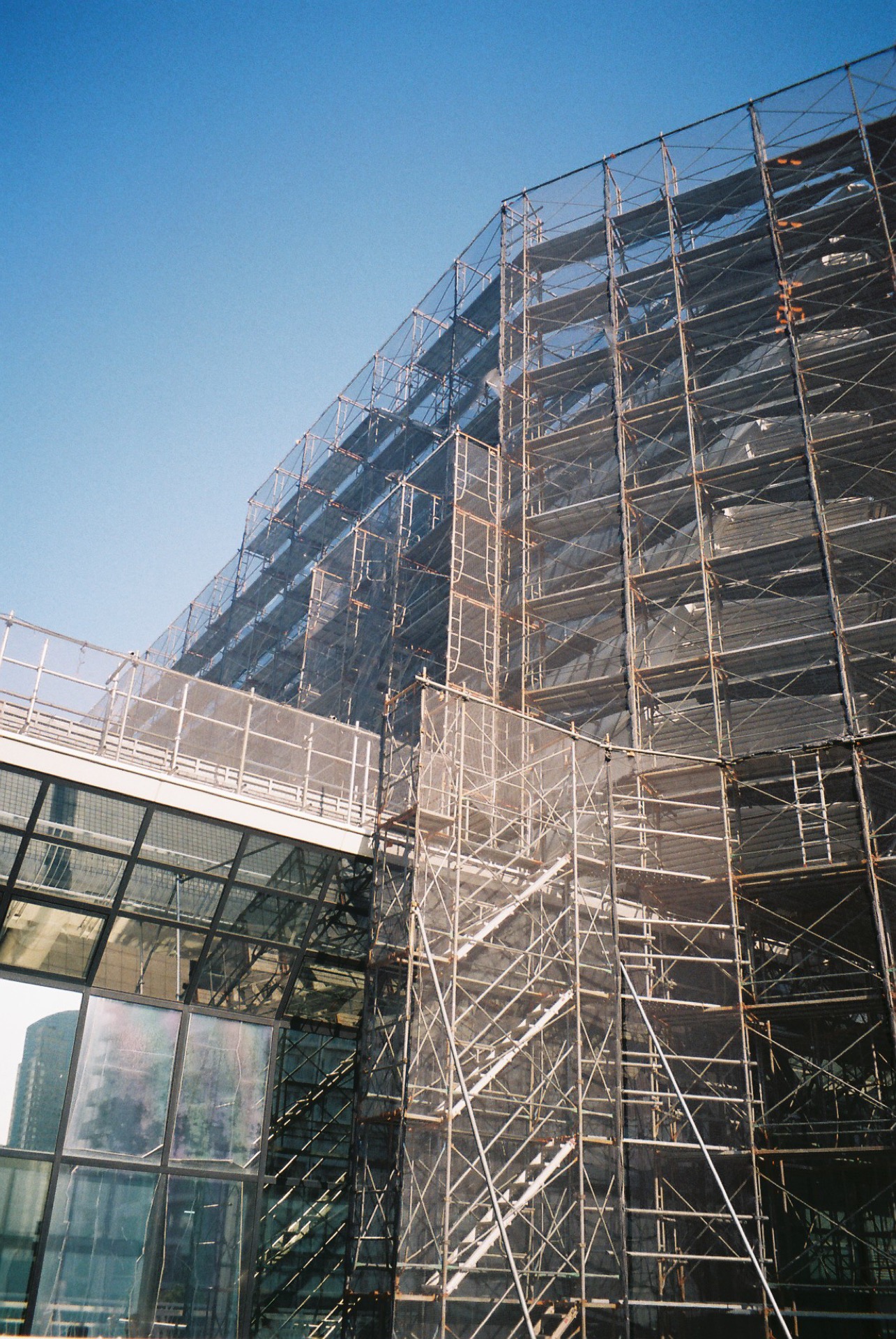 FUJICOLOR_C200_20190310_21.jpg