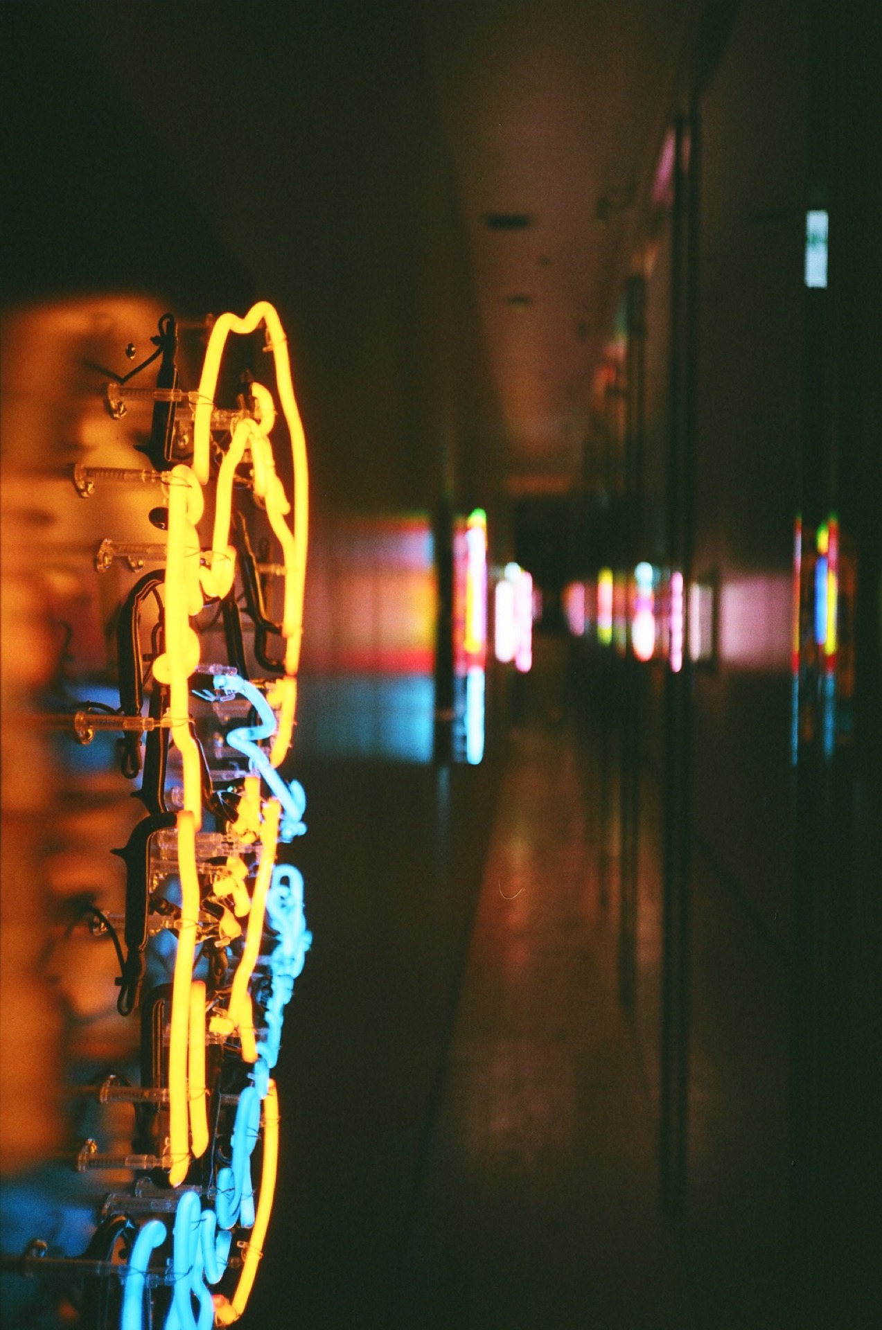 X-TRA400_20190320_36.jpg