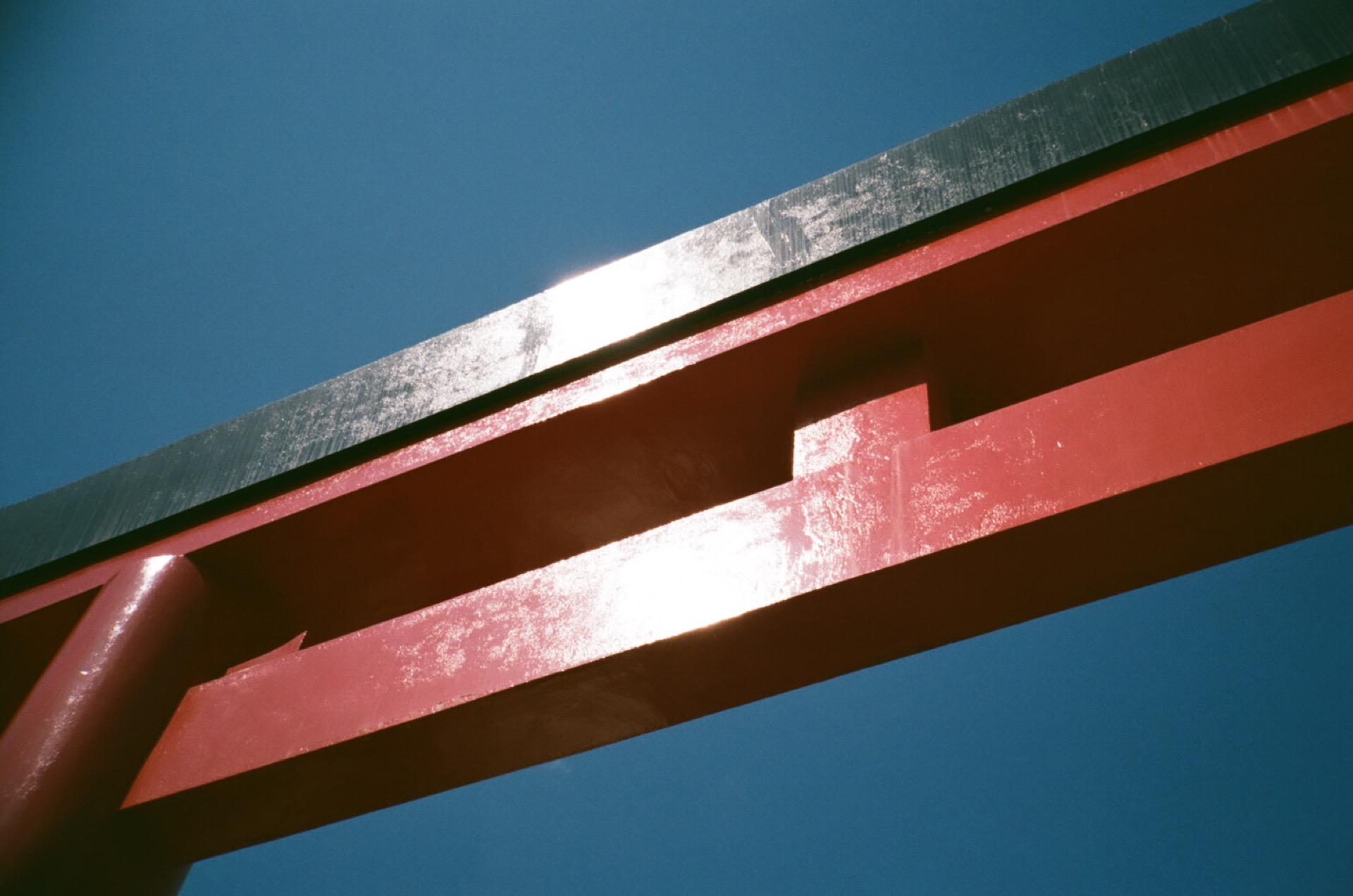 FUJICOLOR_C200_20190309_21.jpg