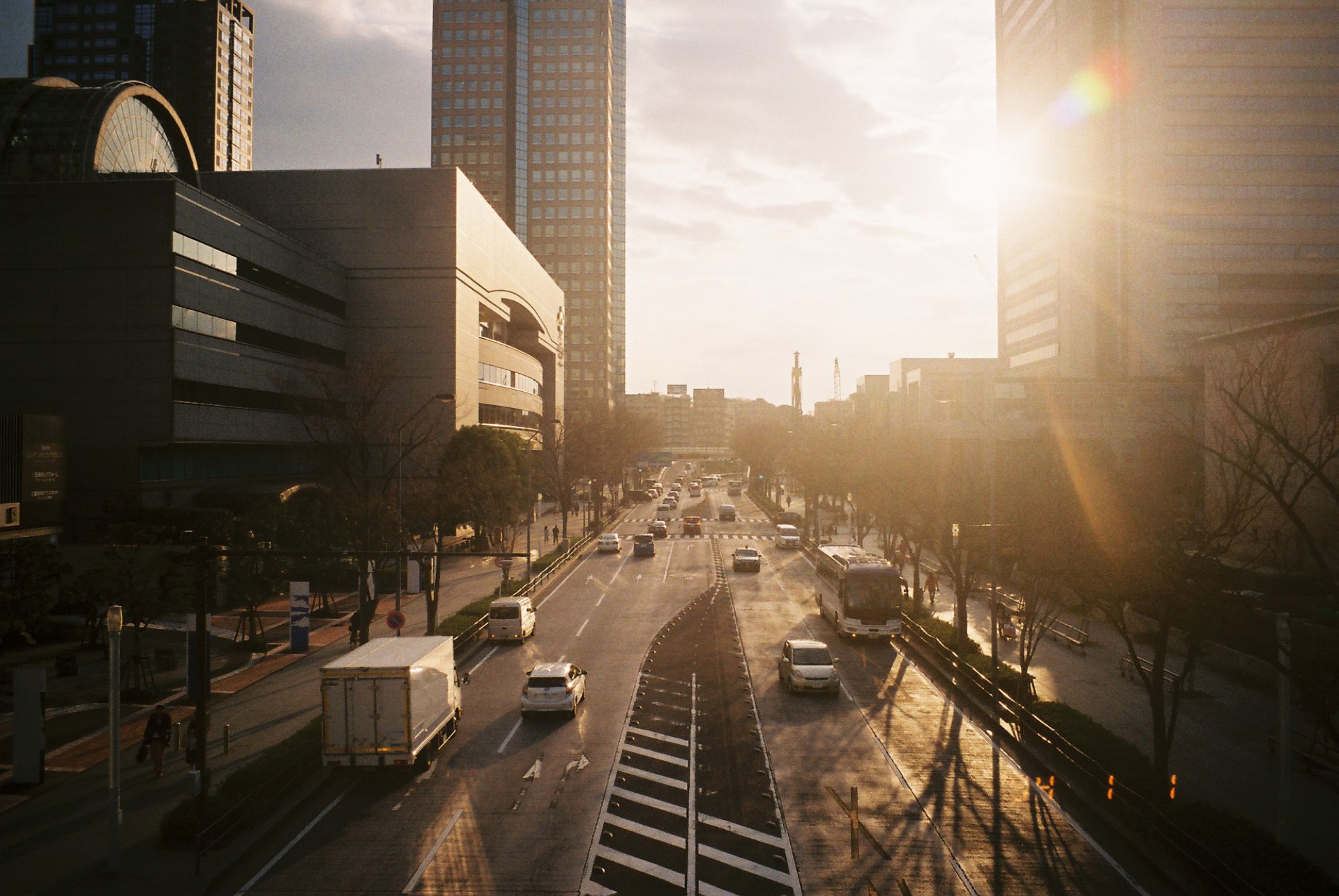 FUJICOLOR_C200_20190310_11.jpg