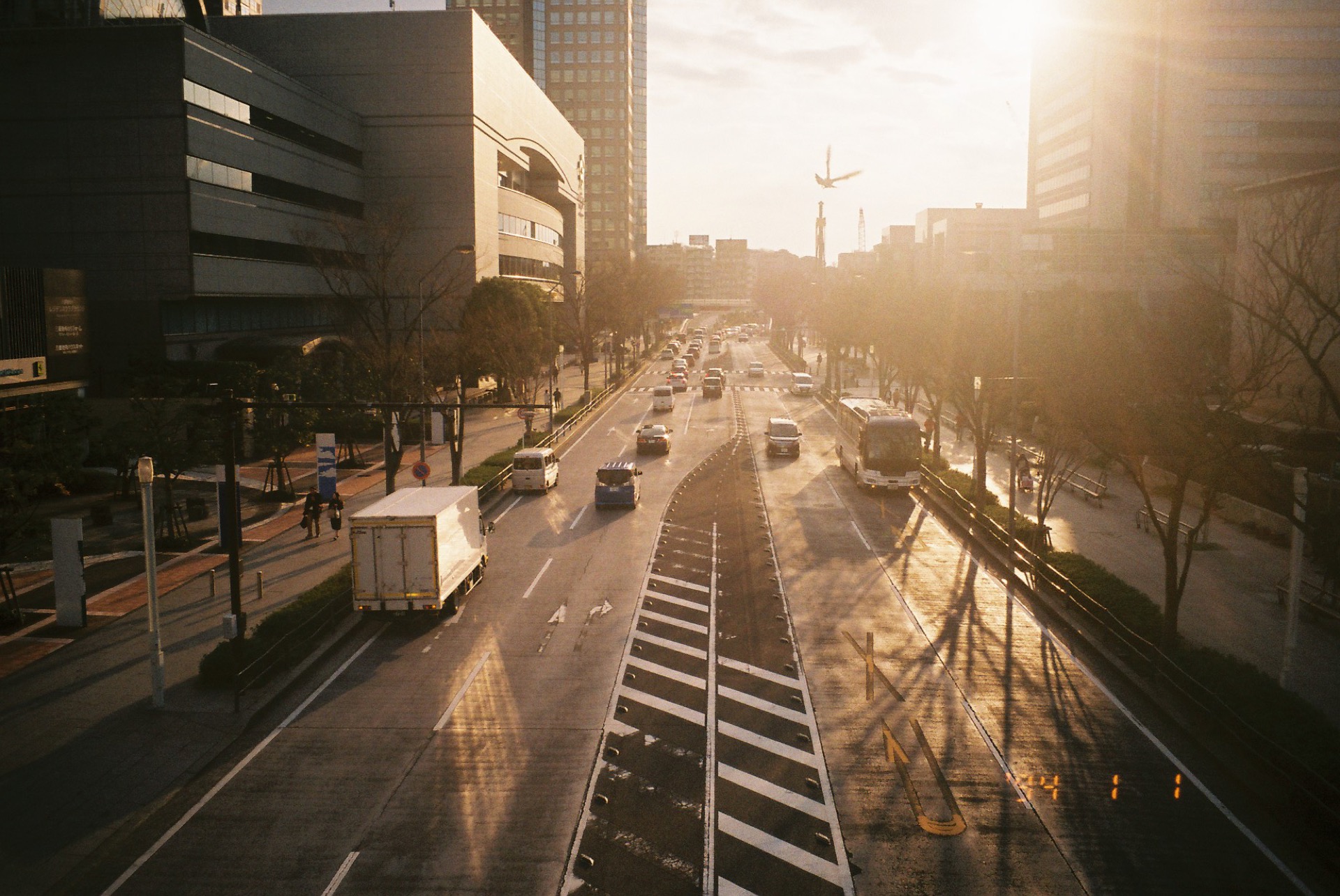 FUJICOLOR_C200_20190310_34.jpg