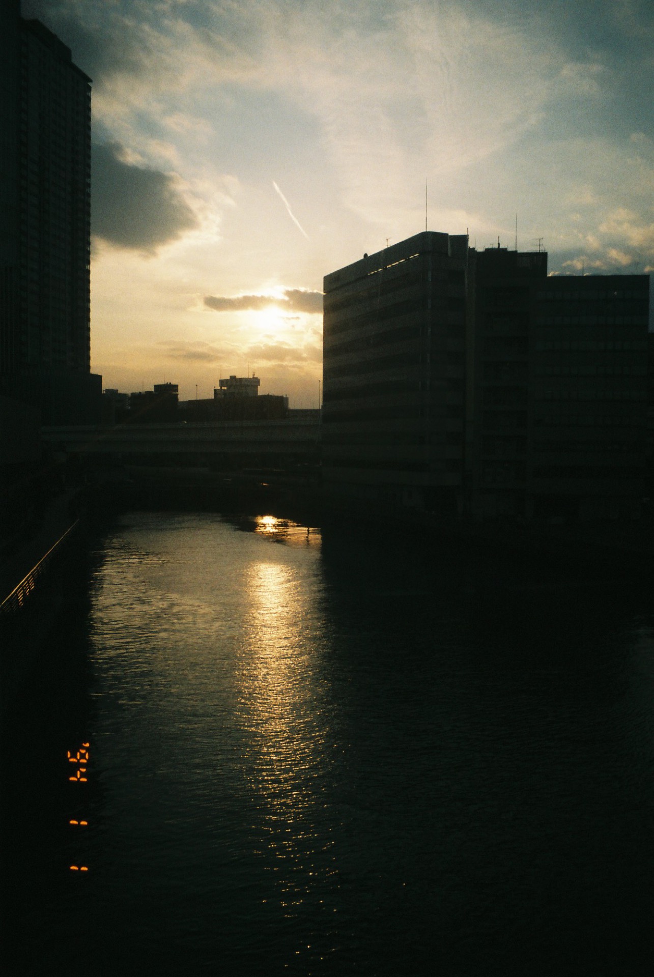 FUJICOLOR_C200_20190310_42.jpg