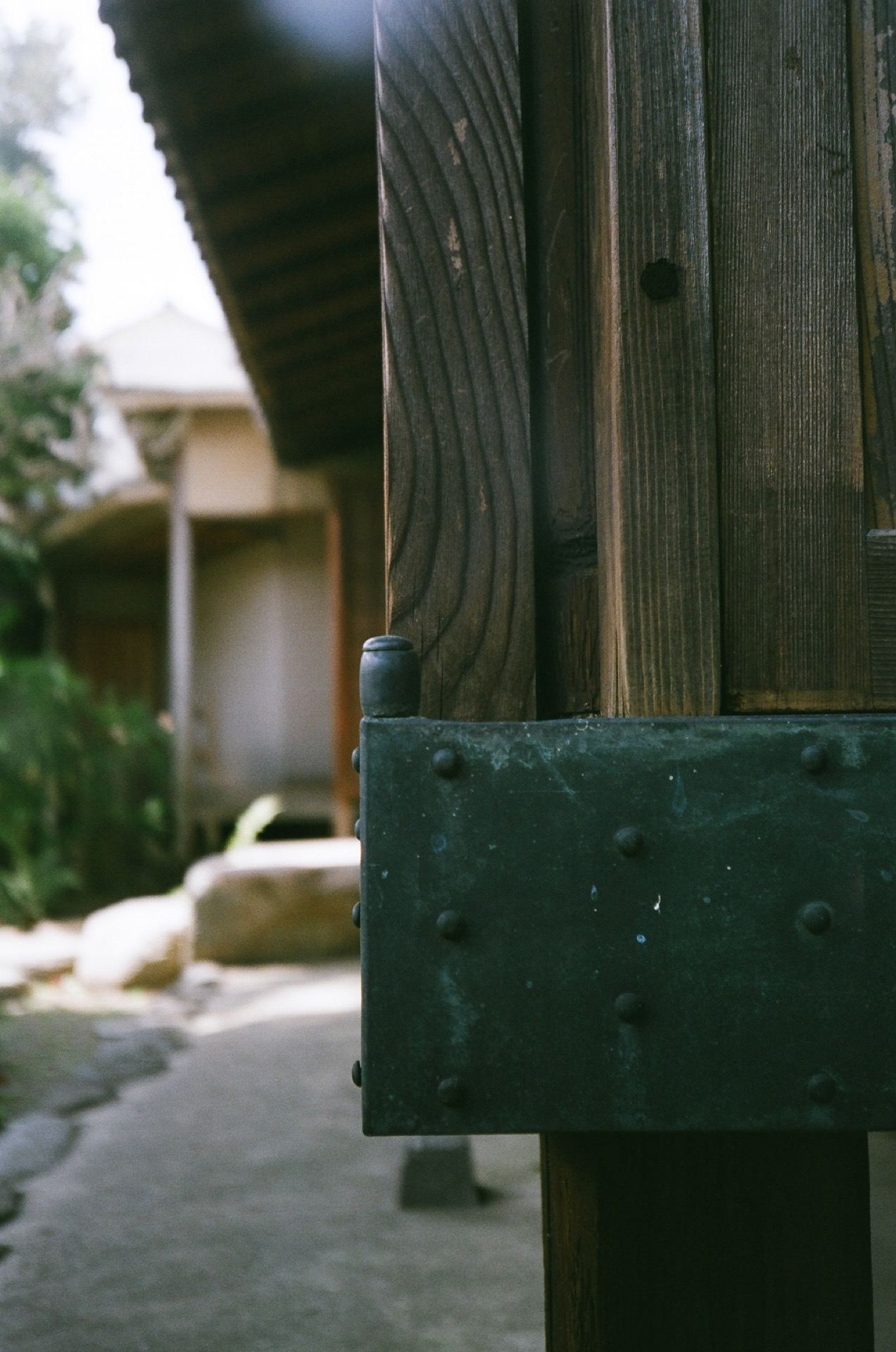 X-TRA400_20190320_18.jpg