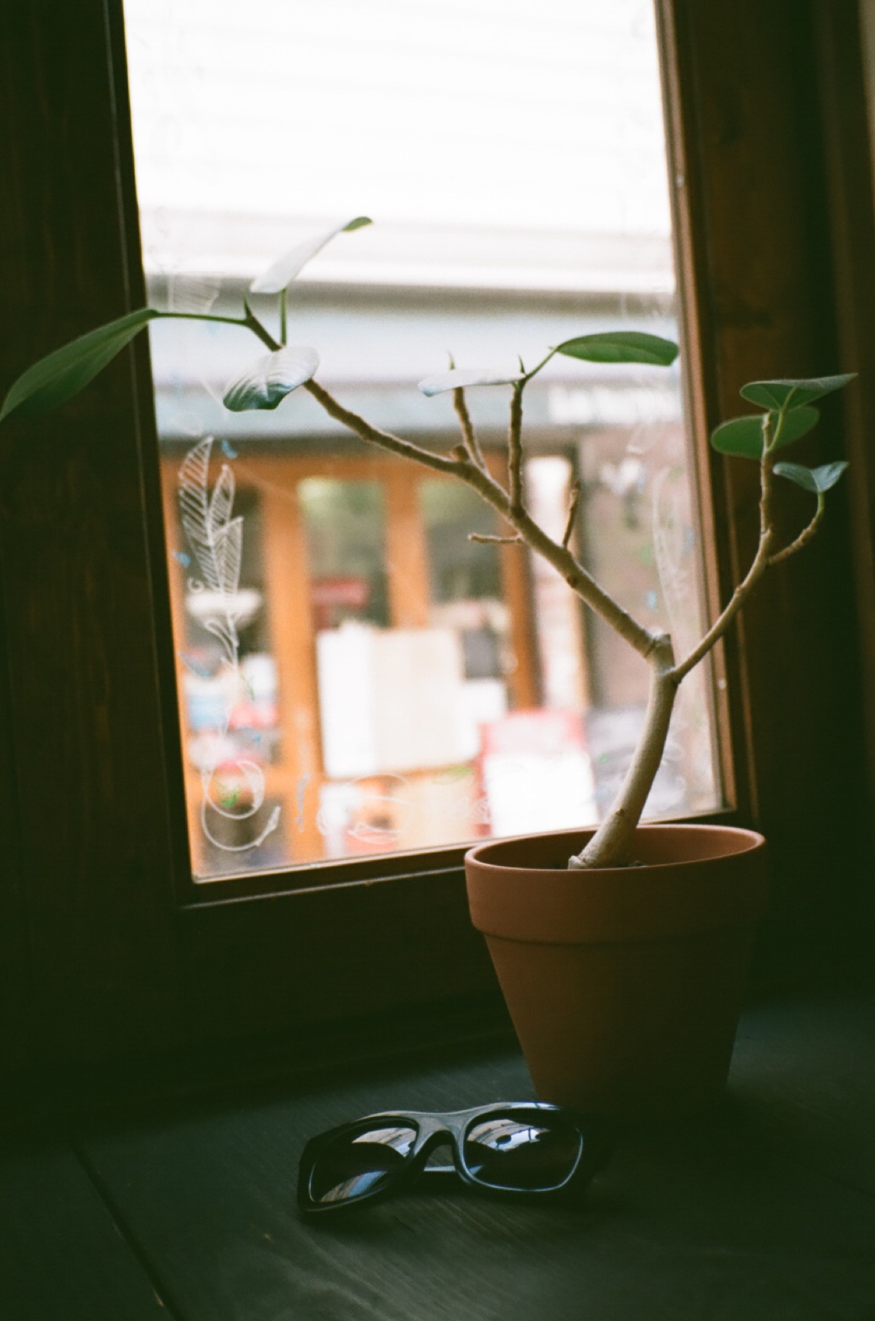 FUJICOLOR_C200_20190309_27.jpg
