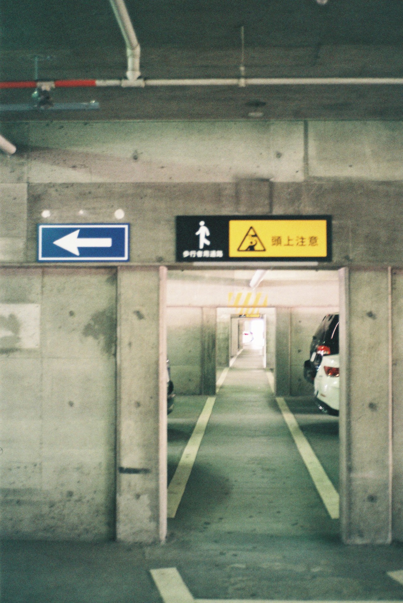 FUJICOLOR_C200_20190224_12.jpg