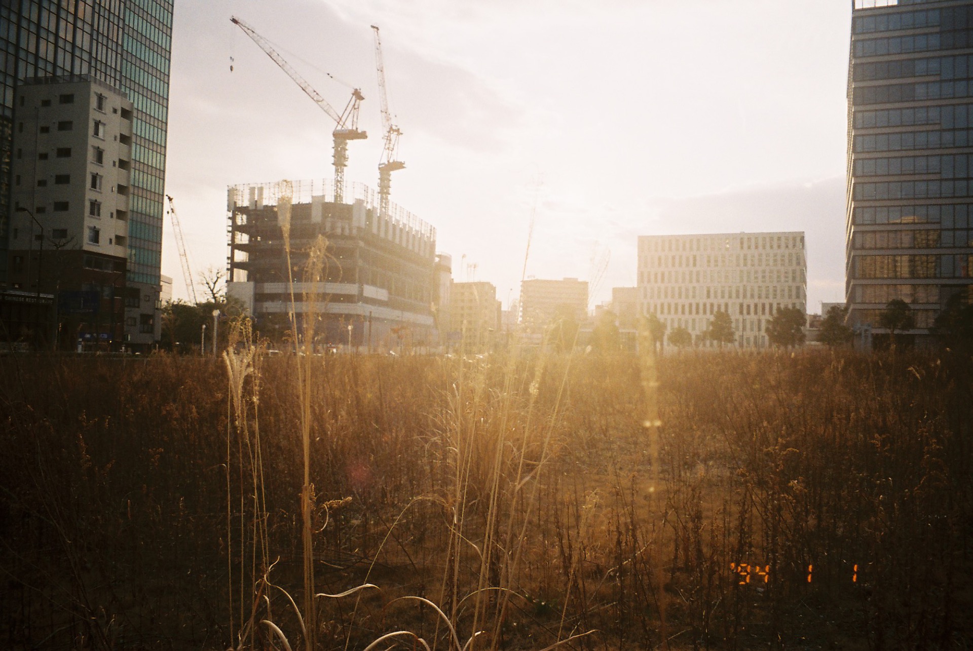 FUJICOLOR_C200_20190310_39.jpg