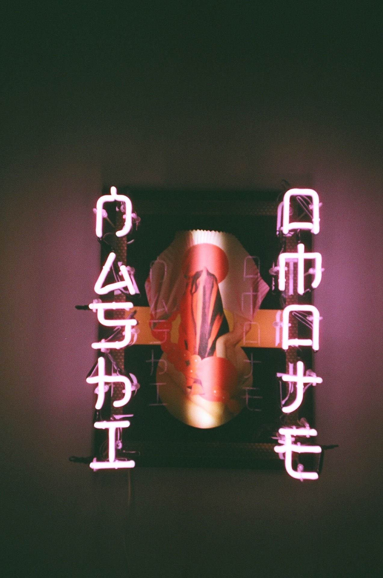 X-TRA400_20190320_35.jpg