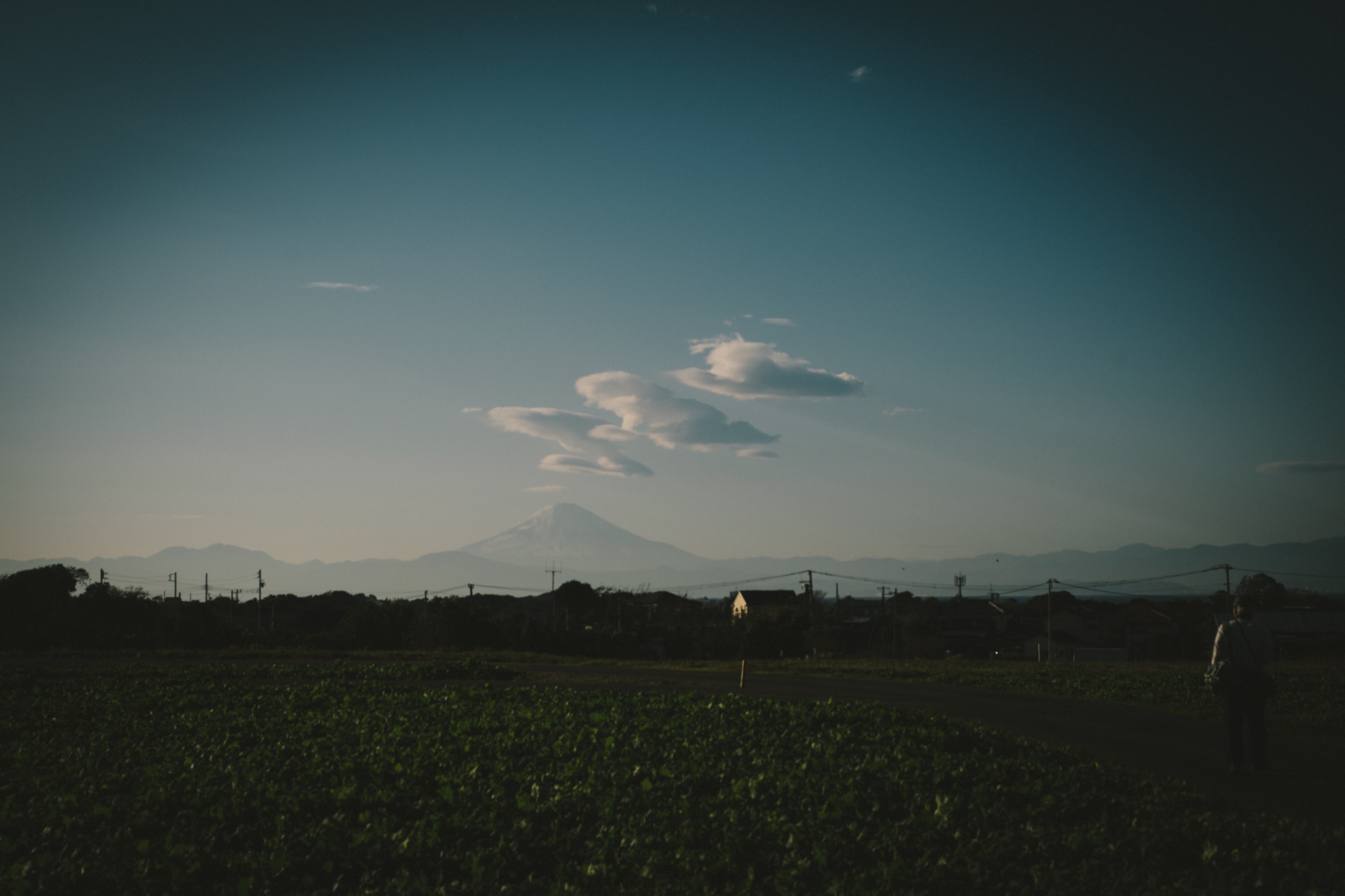 A7R00764.jpg