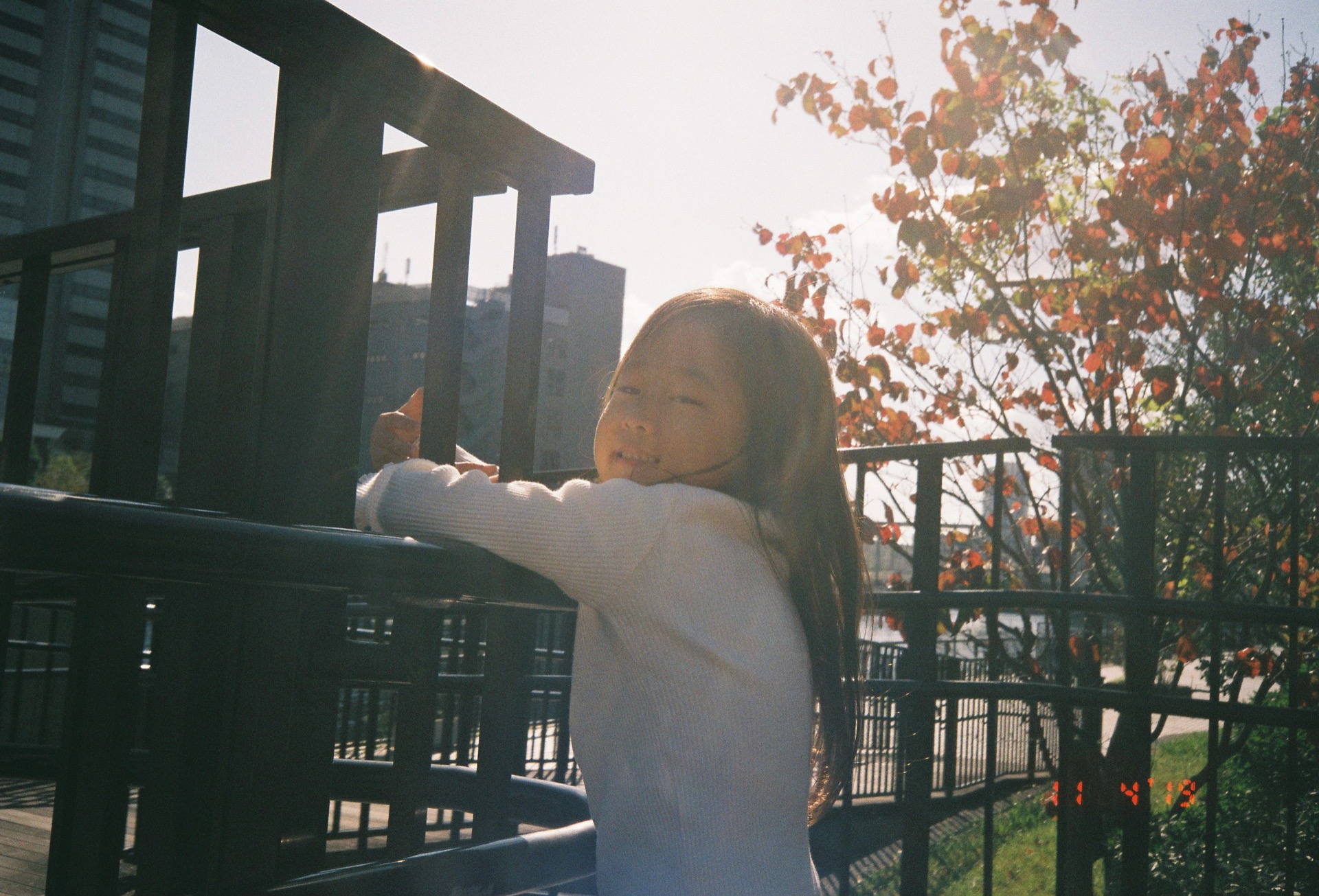 20191203_FujiC20028.jpg