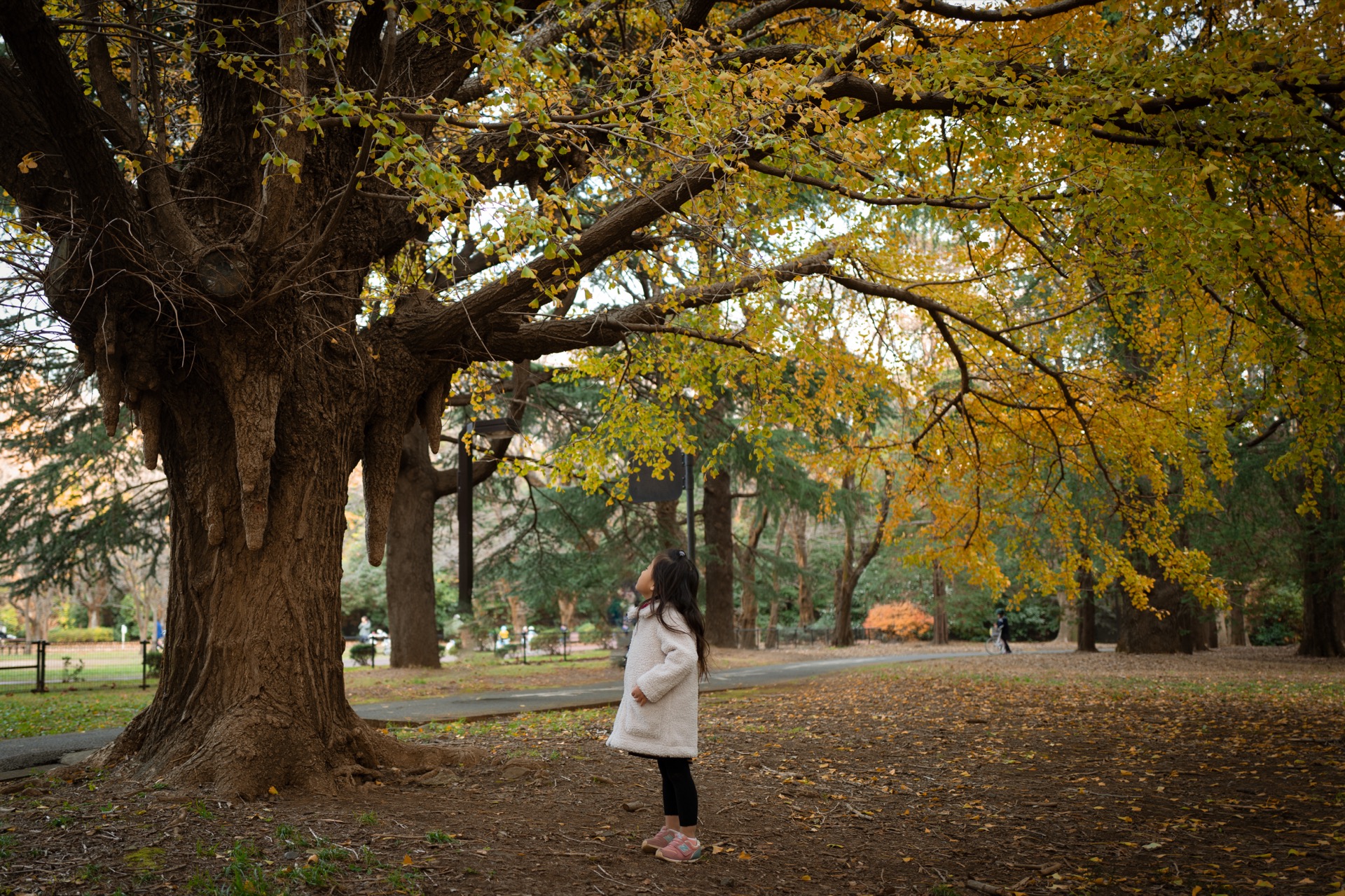 L1010710-Edit.jpg
