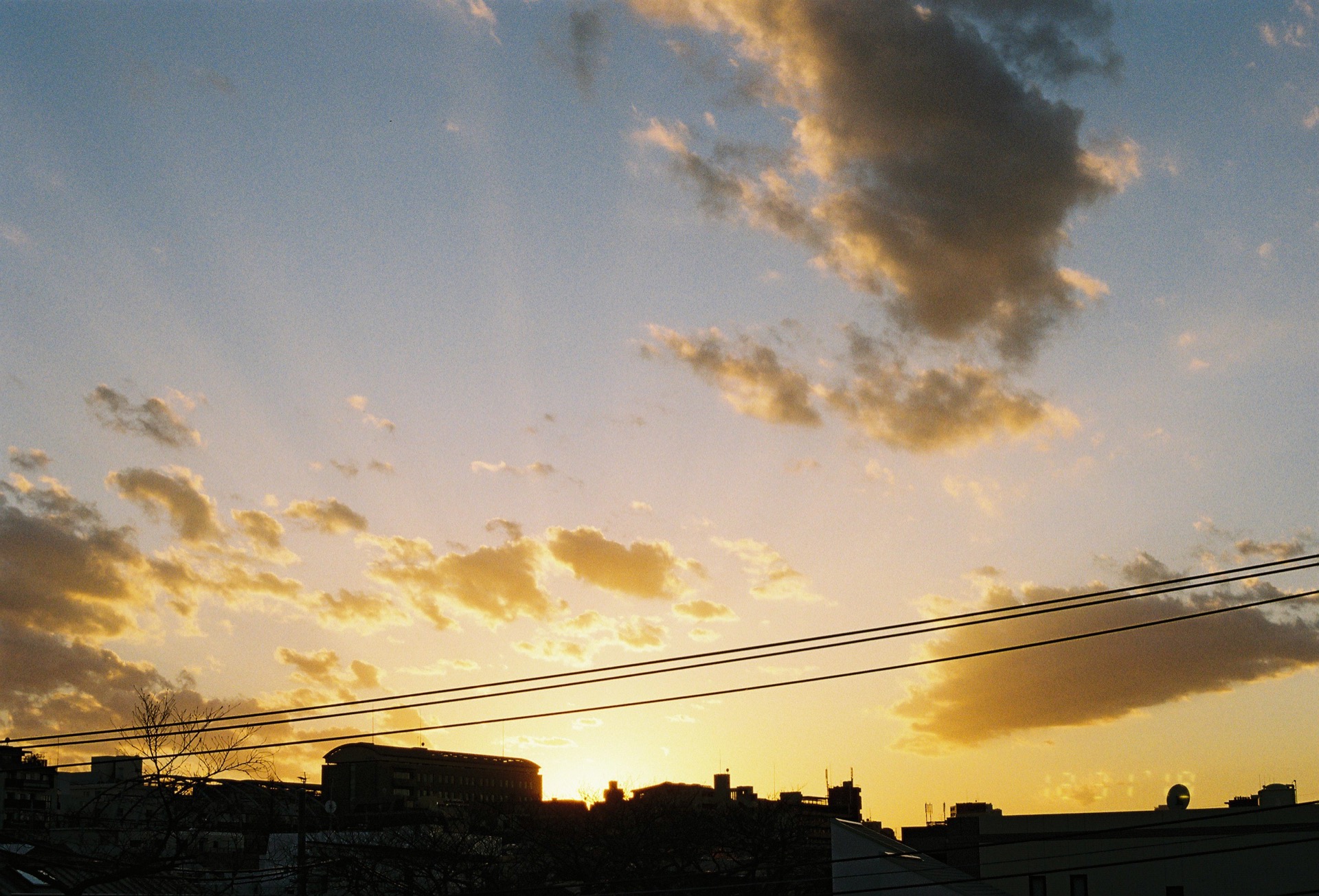 20200111_EOSkiss7_Lomo100_45.jpg