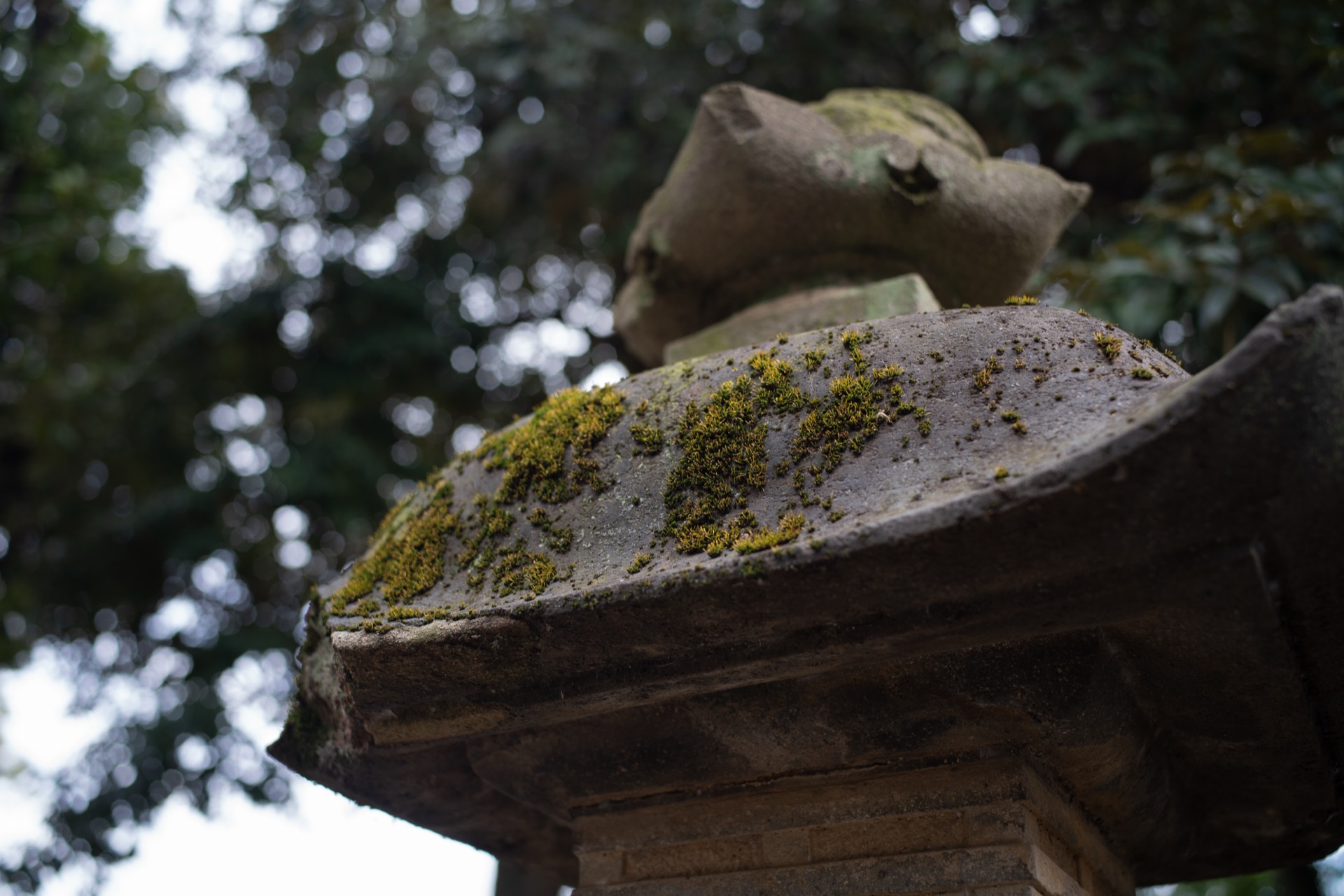 A7R01599.jpg