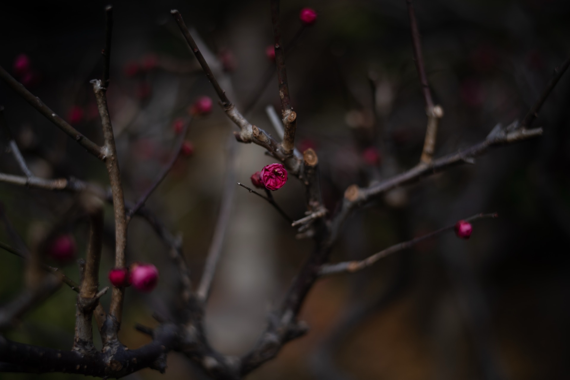 A7R01604.jpg