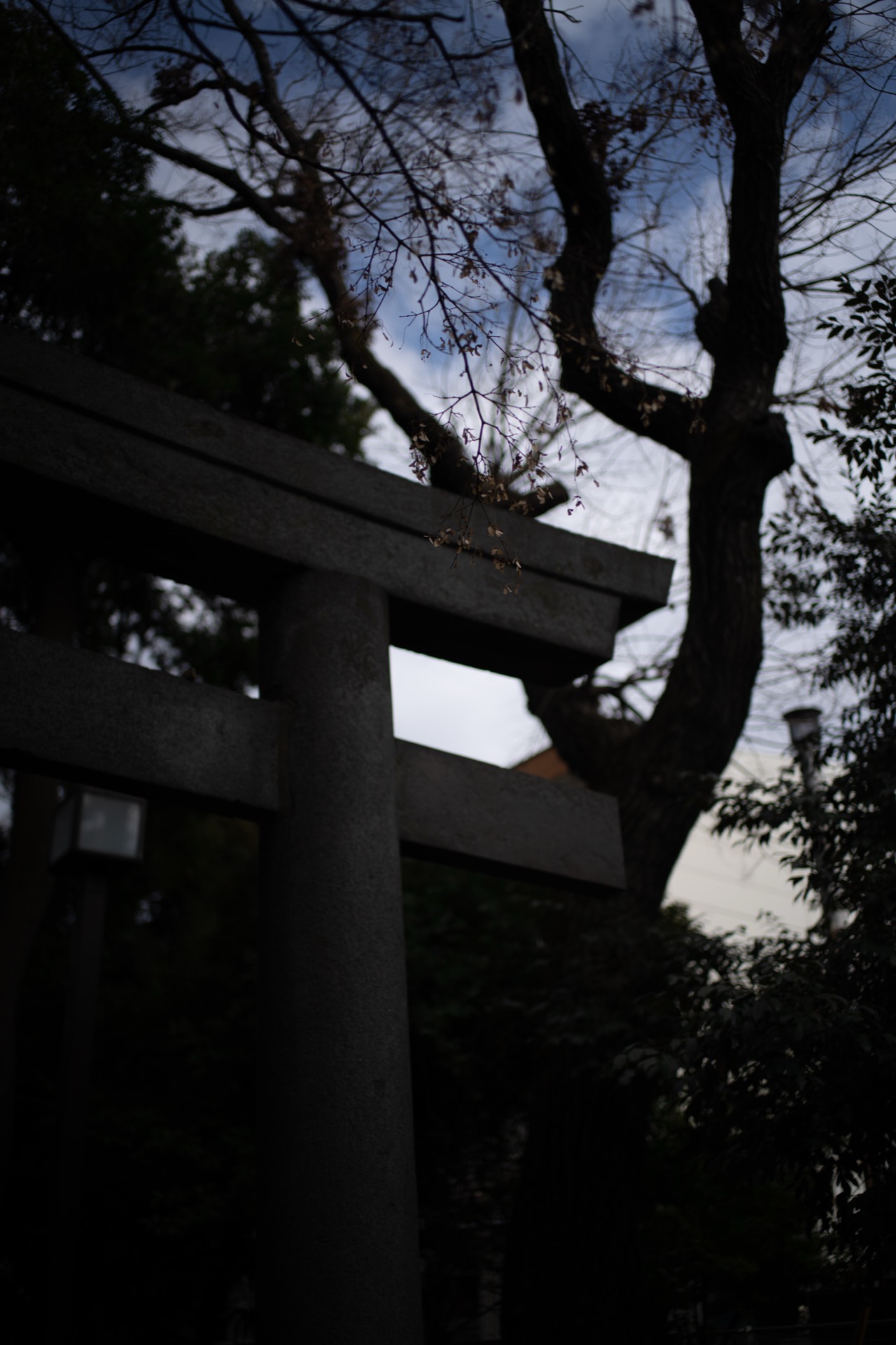 A7R01591.jpg
