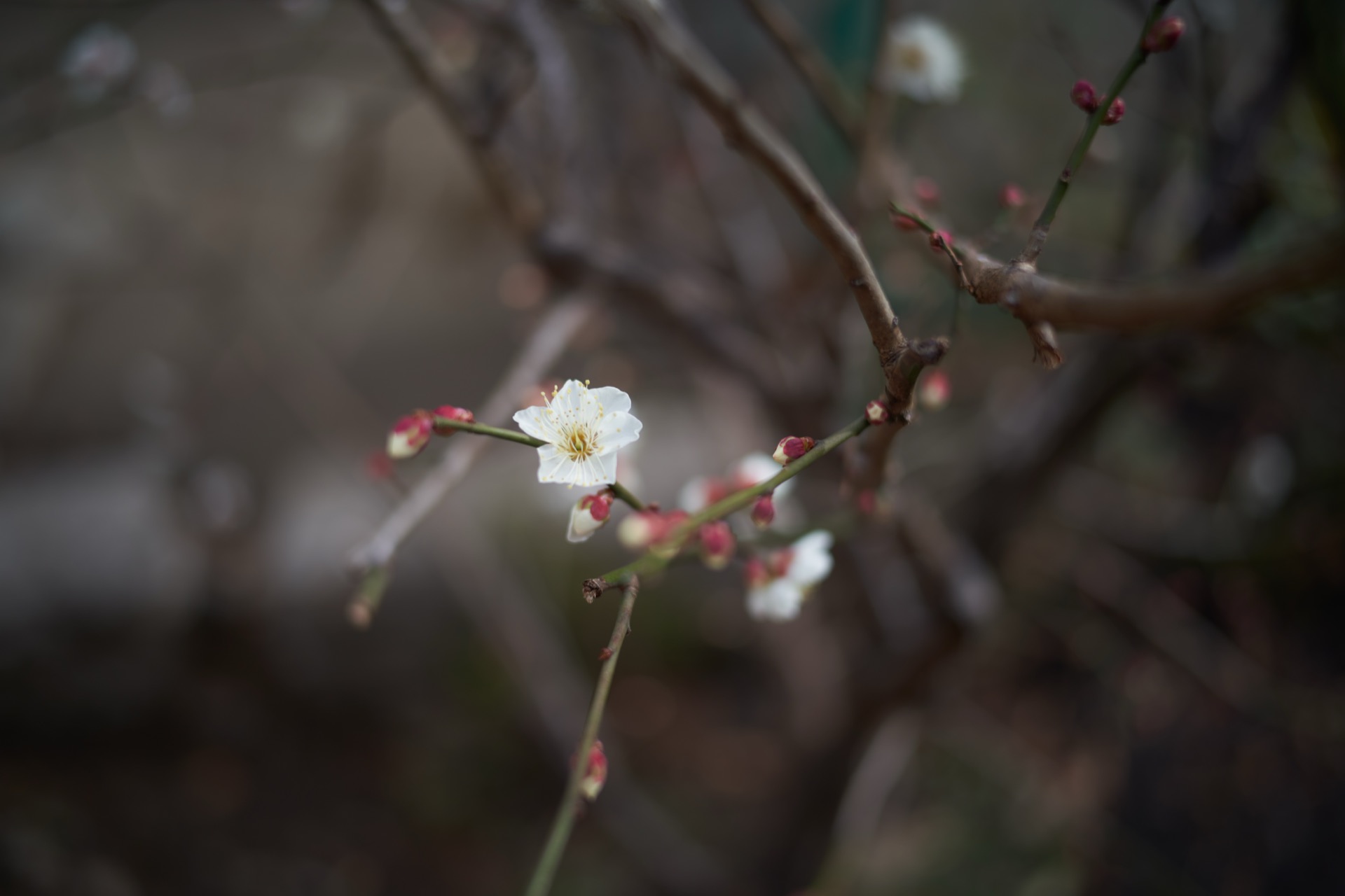 A7R01593_CPO_16bit.jpg