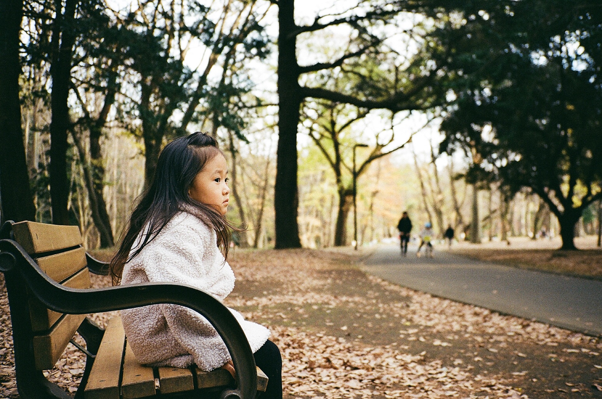 20200128_CONTAX T2_Kodak Color Plus 200_15.jpg