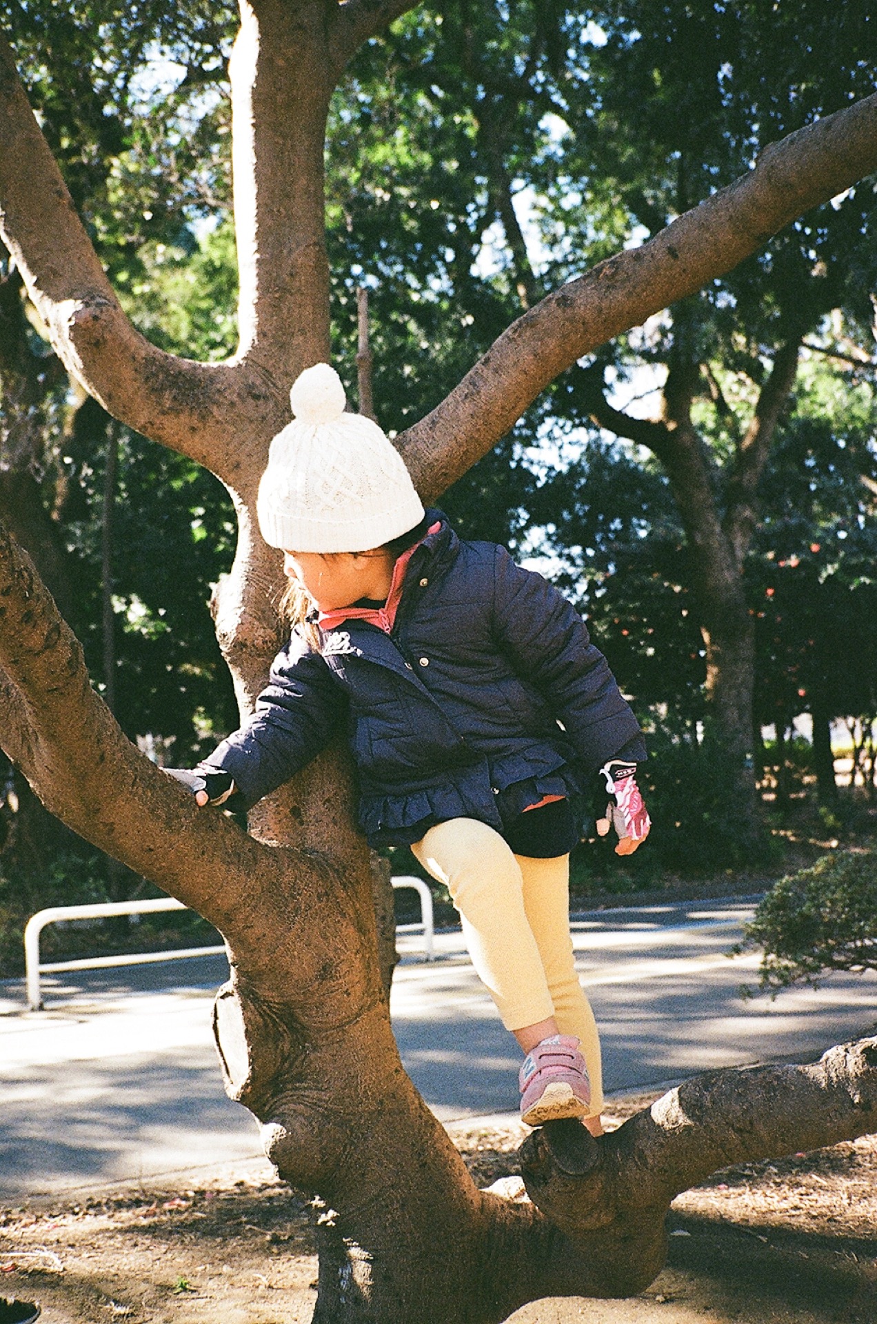 20200128_CONTAX T2_Kodak Color Plus 200_25.jpg