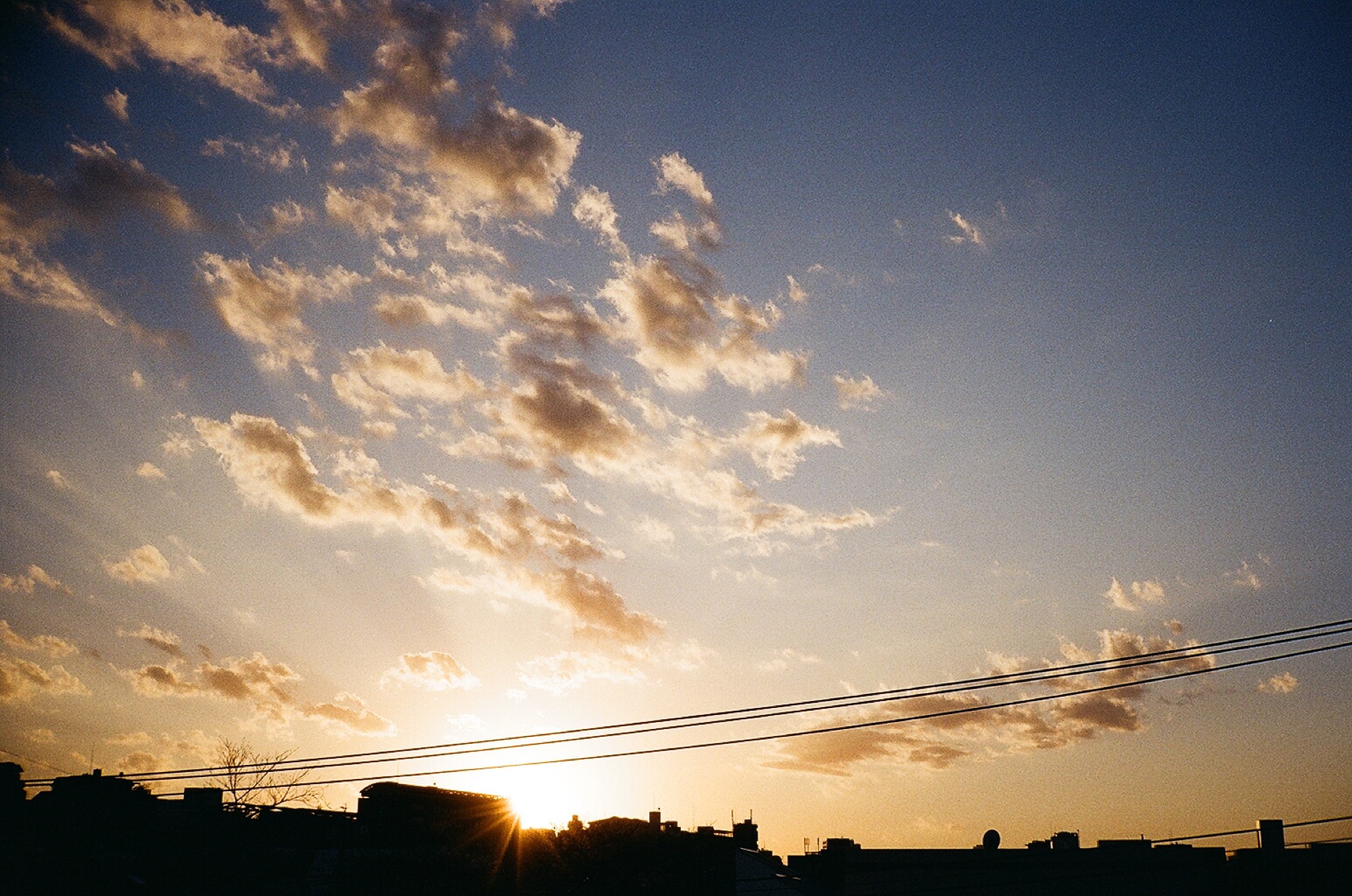 20200128_CONTAX T2_Kodak Color Plus 200_34.jpg