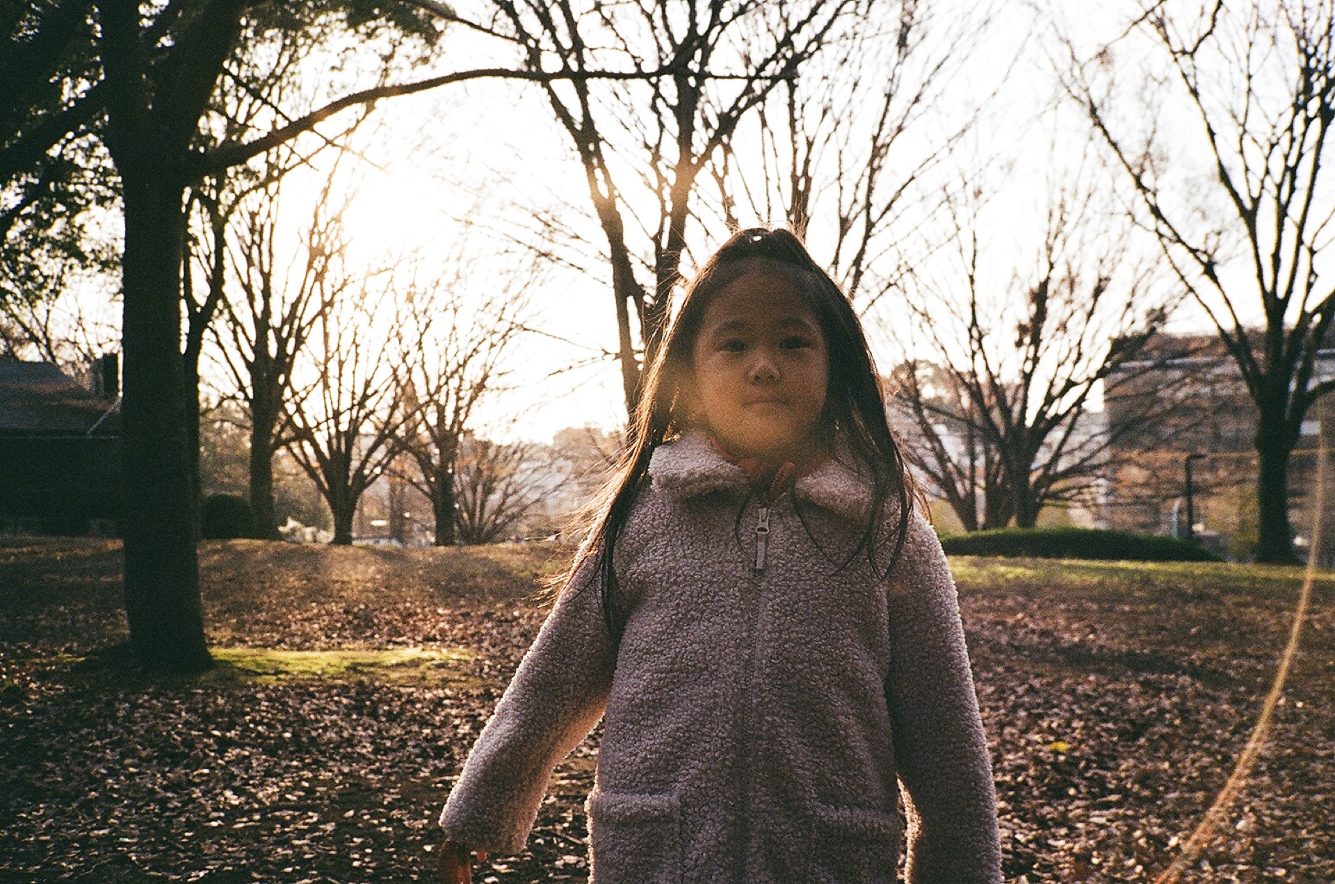 20200128_CONTAX T2_Kodak Color Plus 200_19.jpg