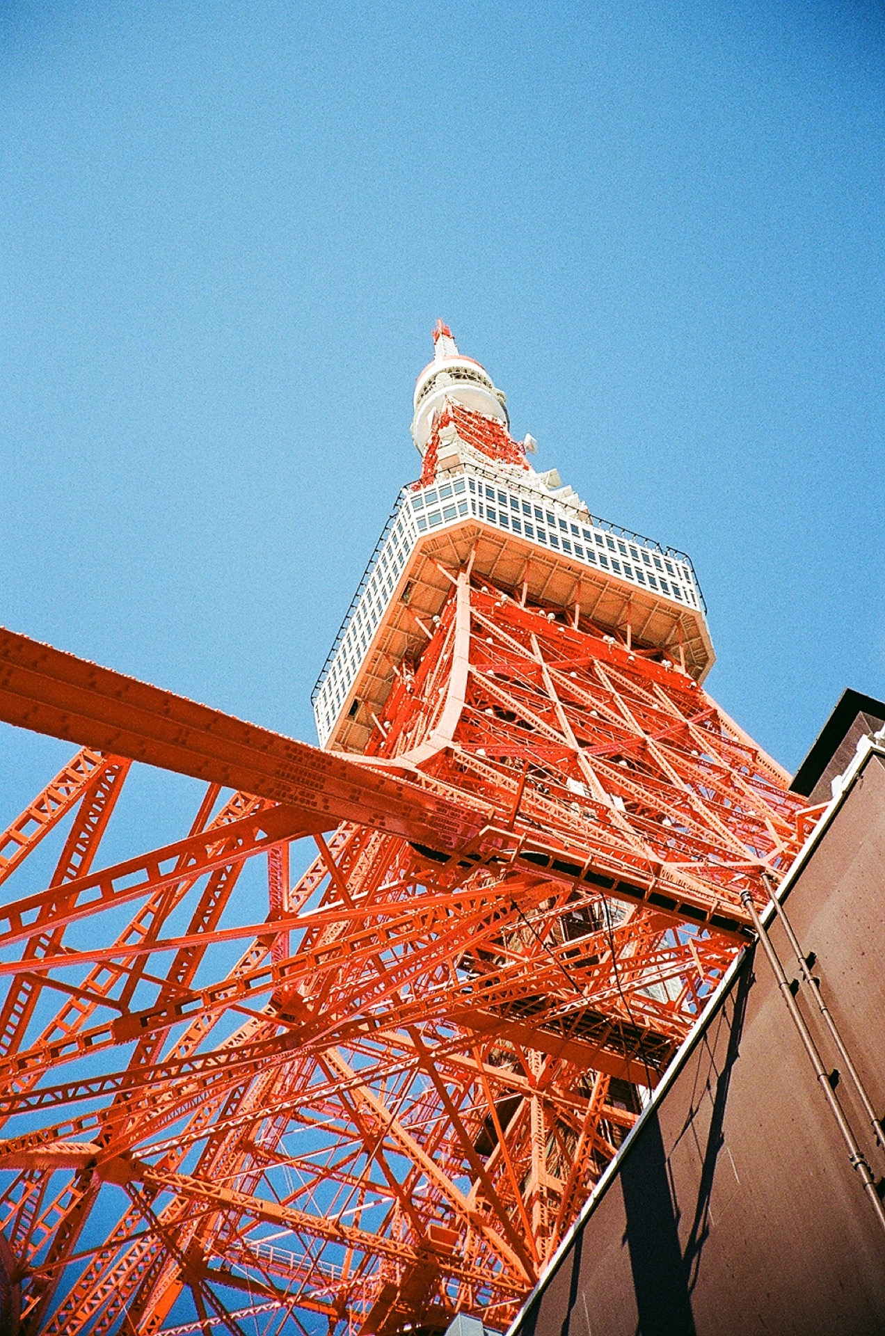 20200128_CONTAX T2_Kodak Color Plus 200_40.jpg