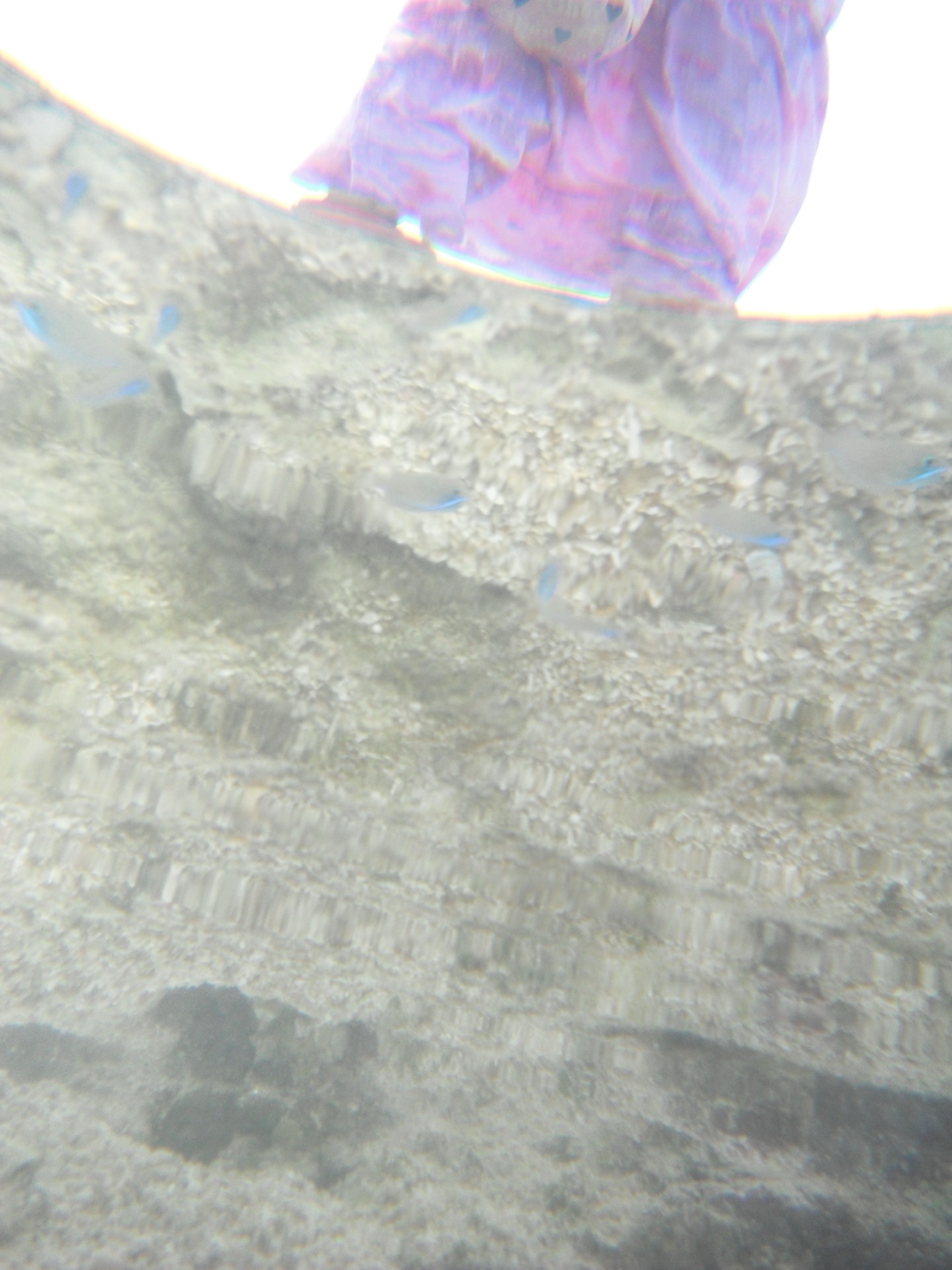 DSCF0073