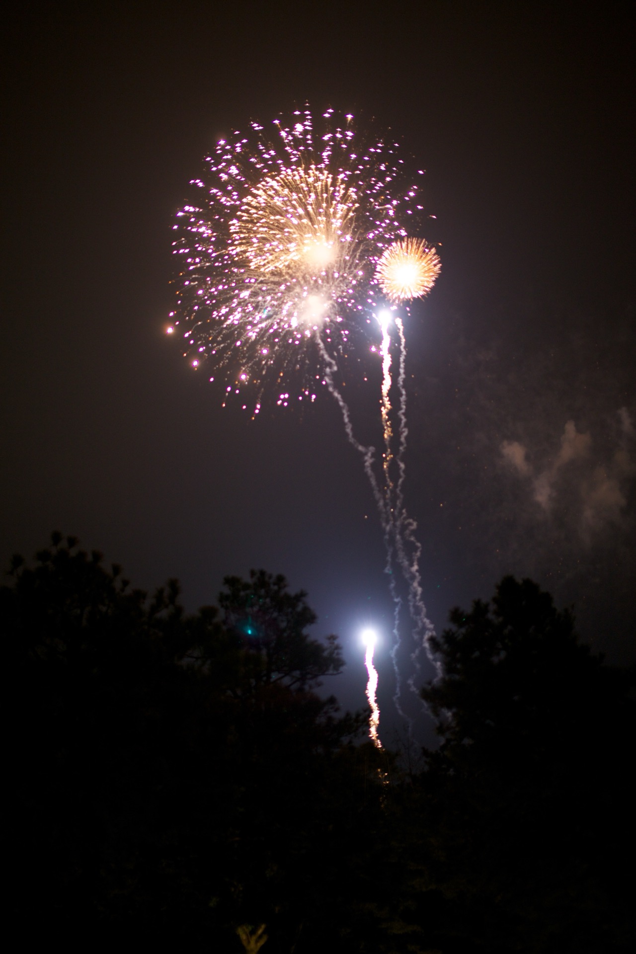 IMG_7336
