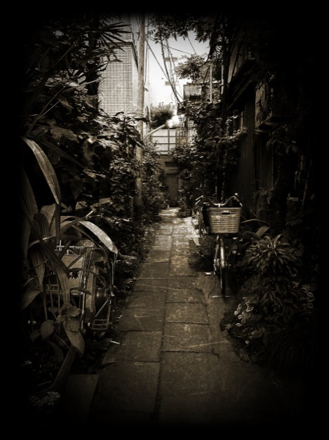 KAZU75 Photo Blograph!!!-??.JPG
