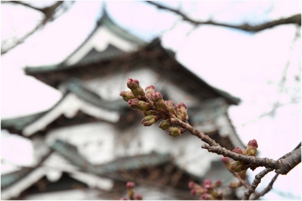 KAZU BLOG