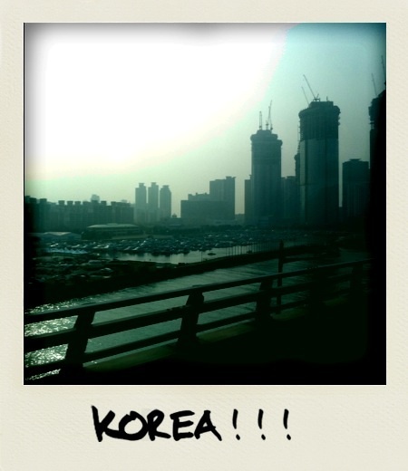 photo:01