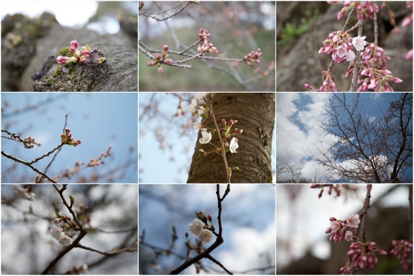 KAZU BLOG
